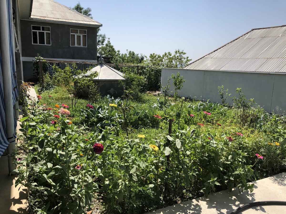 Shaki Host House Sheki Exterior foto